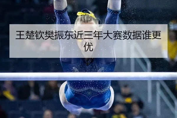 王楚钦樊振东近三年大赛数据谁更优