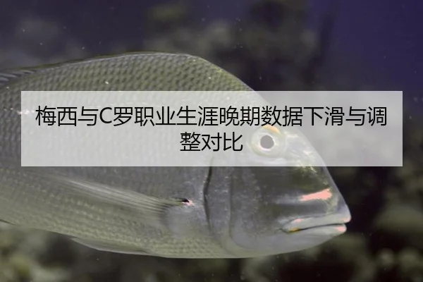 梅西与C罗职业生涯晚期数据下滑与调整对比