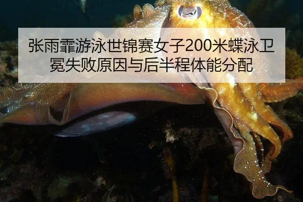 张雨霏游泳世锦赛女子200米蝶泳卫冕失败原因与后半程体能分配